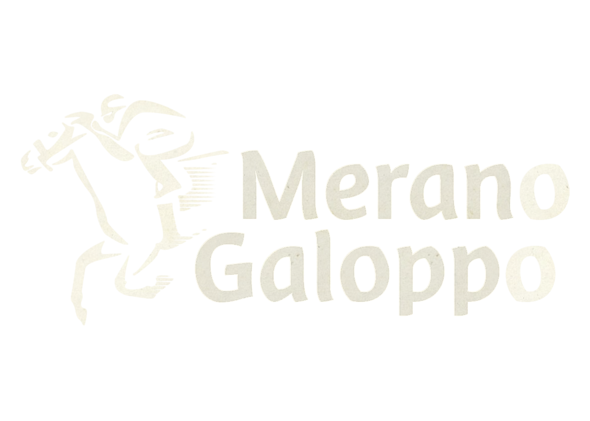 MeranoGalopp-bn.png